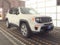 2022 Jeep Renegade Limited
